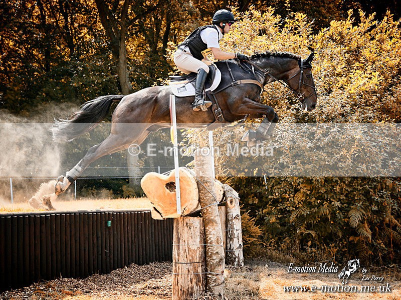 TWES 090718-421b - Equestrian