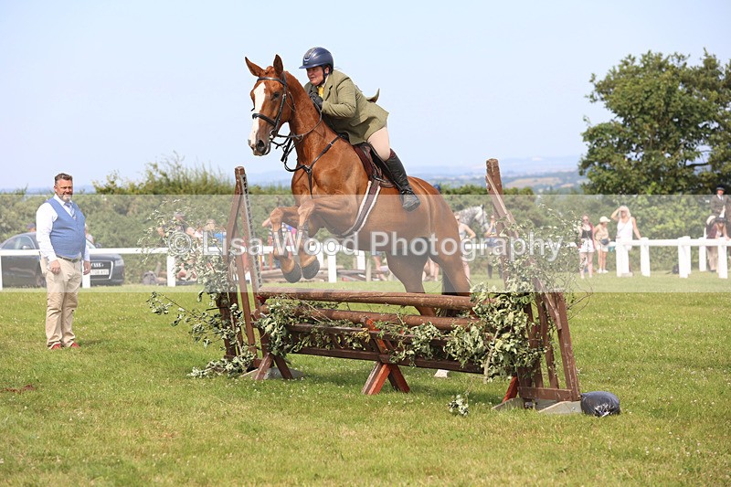 JPP_3751 - Class 23: Working Hunter 80cm