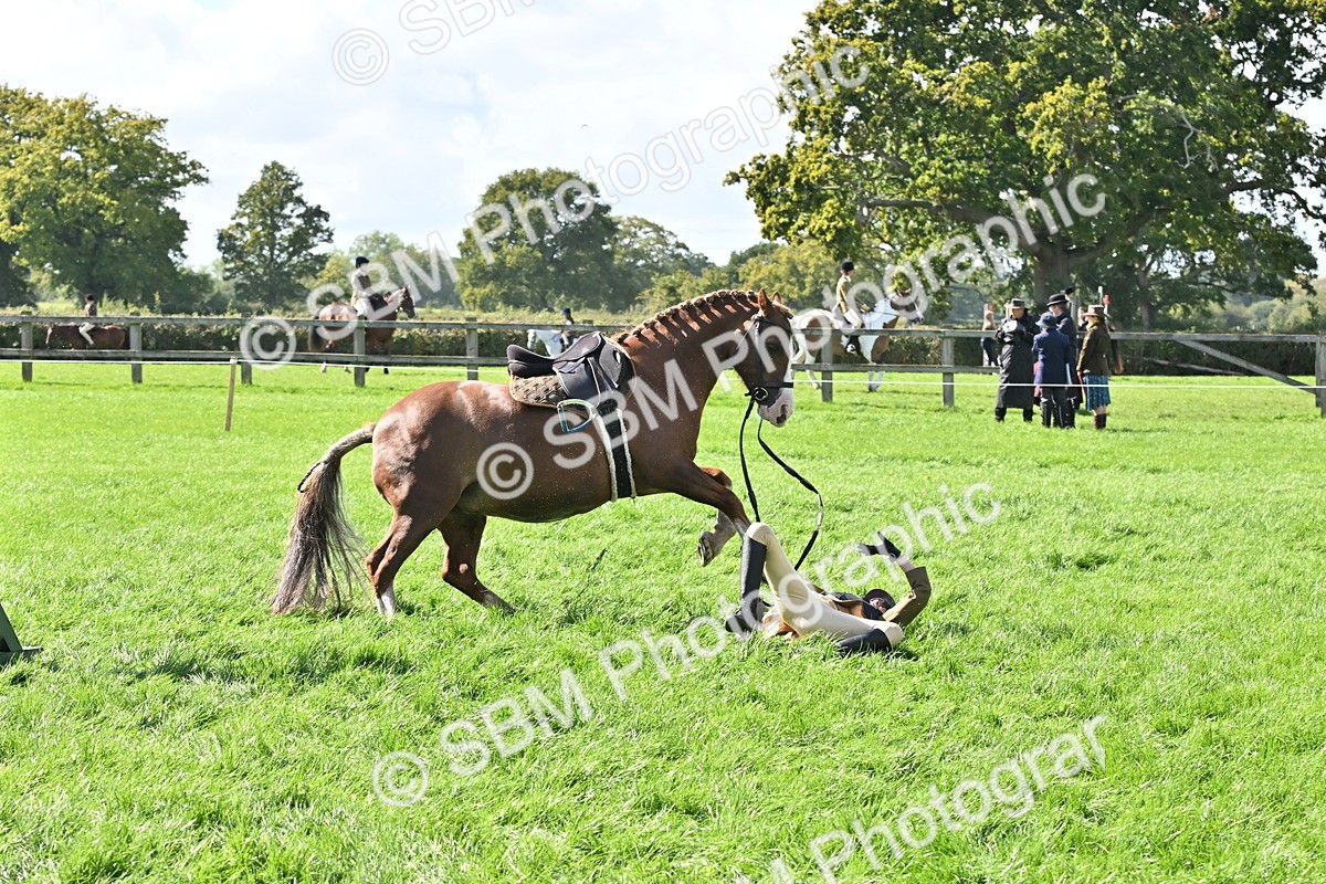 SBM_44542 - S13 - Pony Club Pony