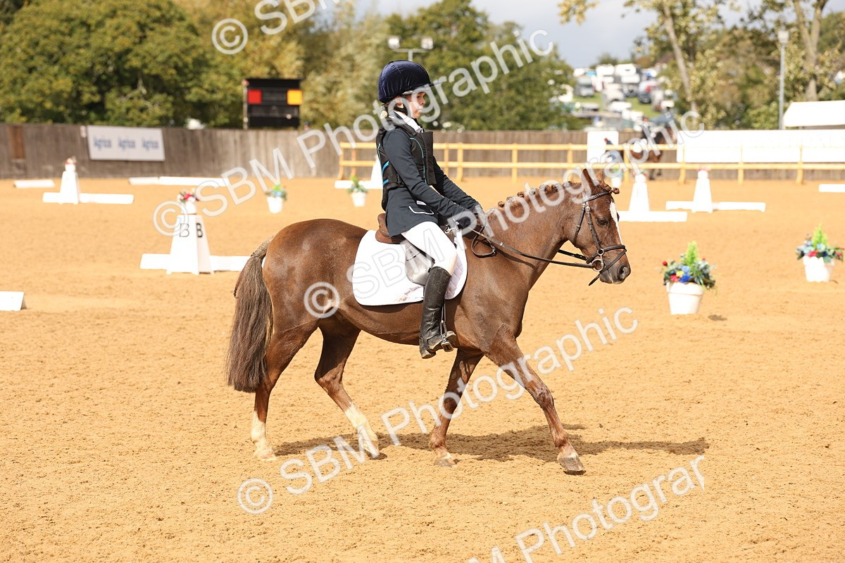 SBM_44185 - D6 - Small Tour Championship Intro 4