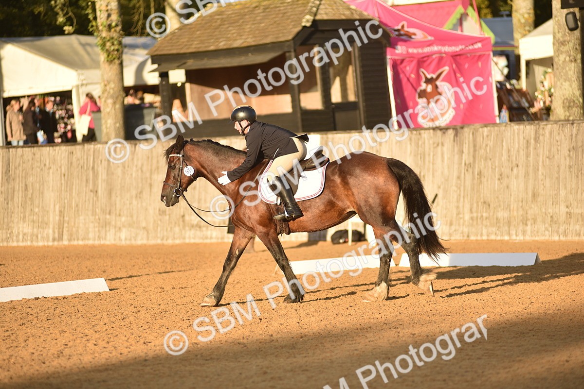 SBM_53528 - D24 - Junior Championship Prelim 3