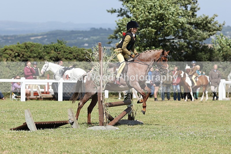 JPP_2133 - Class 19: Working Hunter 60cm