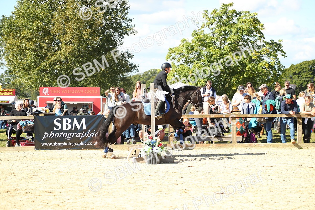 SBM_39374 - J6 - Junior Pony 55cm Championships