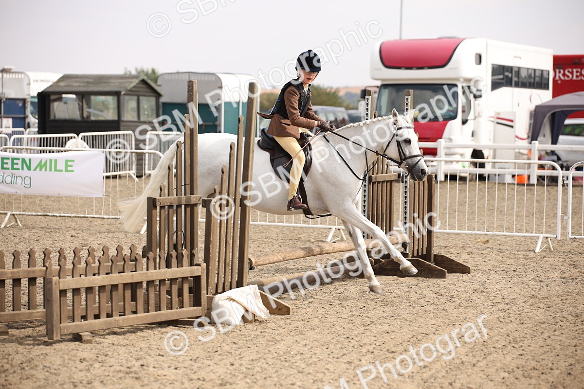 SBM_14253 - Class 407b - Working Veteran 60cm (20+)