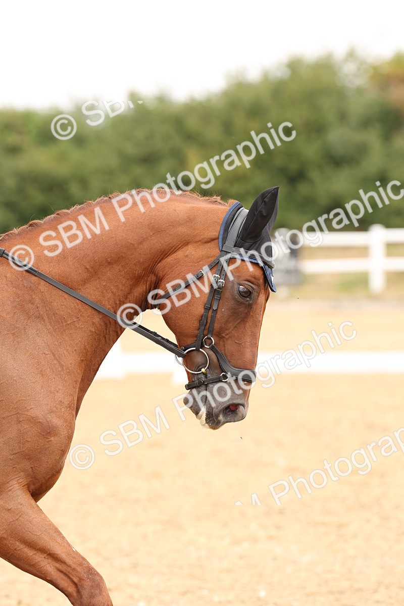 SBM_005520 - Class 12 - Elementary 6 Silver - 10.36-11.32