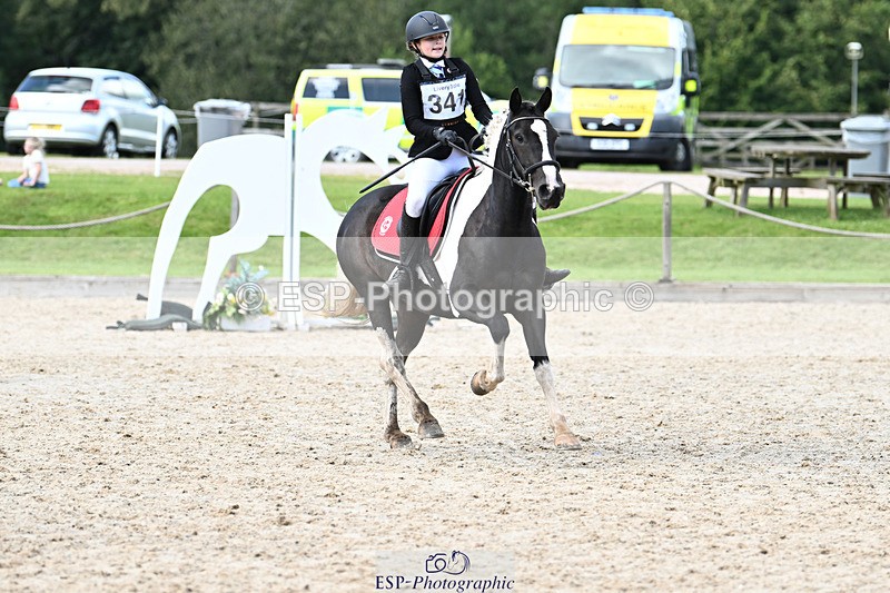 240824X-154200-29736 - 80cm Round 2 15.30 to 16.50