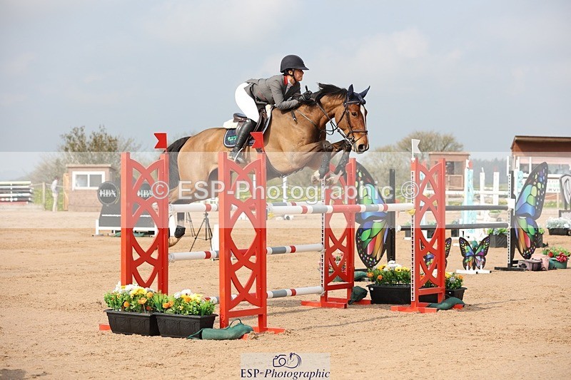 250424-103951-03156 - Cls 33 Young Horse 7yr old