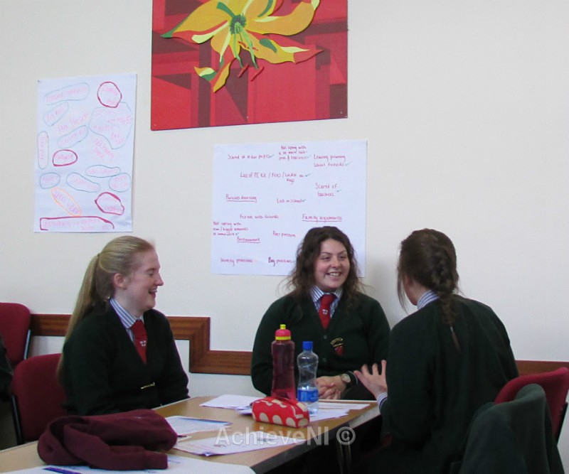  - Peer Mentoring 2014