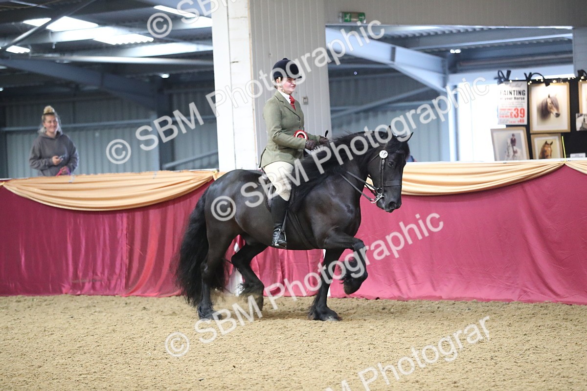 SBM_10470 - Class 102 Equitation (best rider) Adult