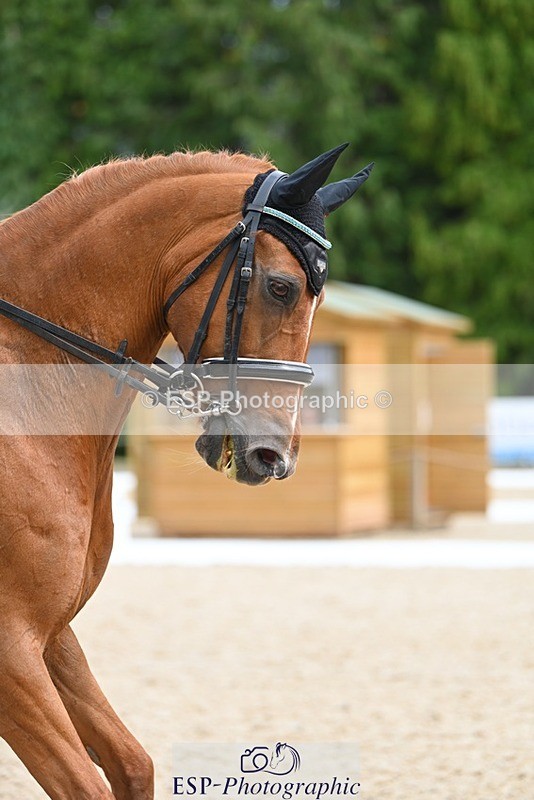 230813-134141-07624 - Cls 13 Medium Bronze 13.15 to End