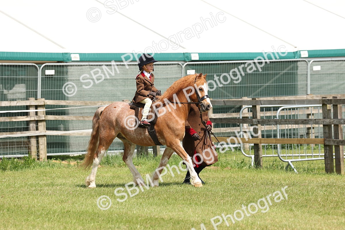SBM_05222 - Class 24-25 - Mountain & Moorland In Hand Lead Rein and First Ridden