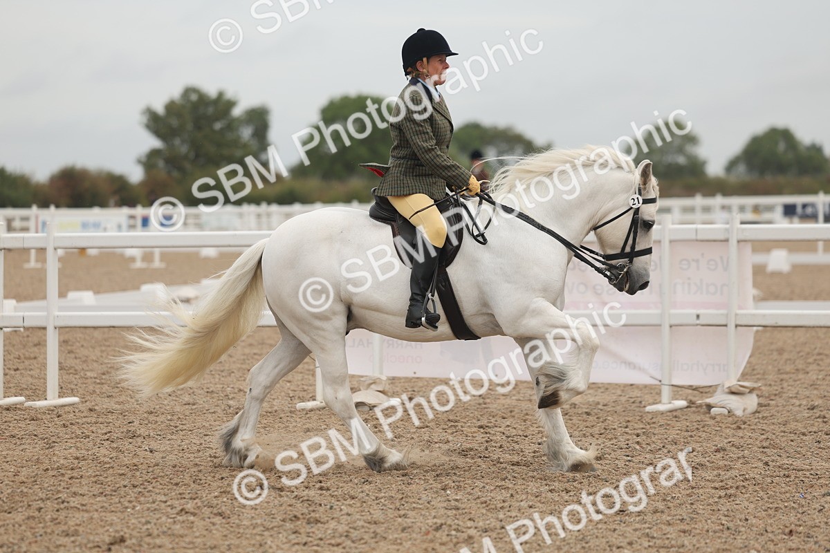 SBM_01887 - Class 14 - Ridden M&M Wildcard