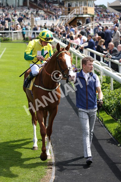 yr11062022r3-7 - Race 3 2.35pm The JCB Stakes