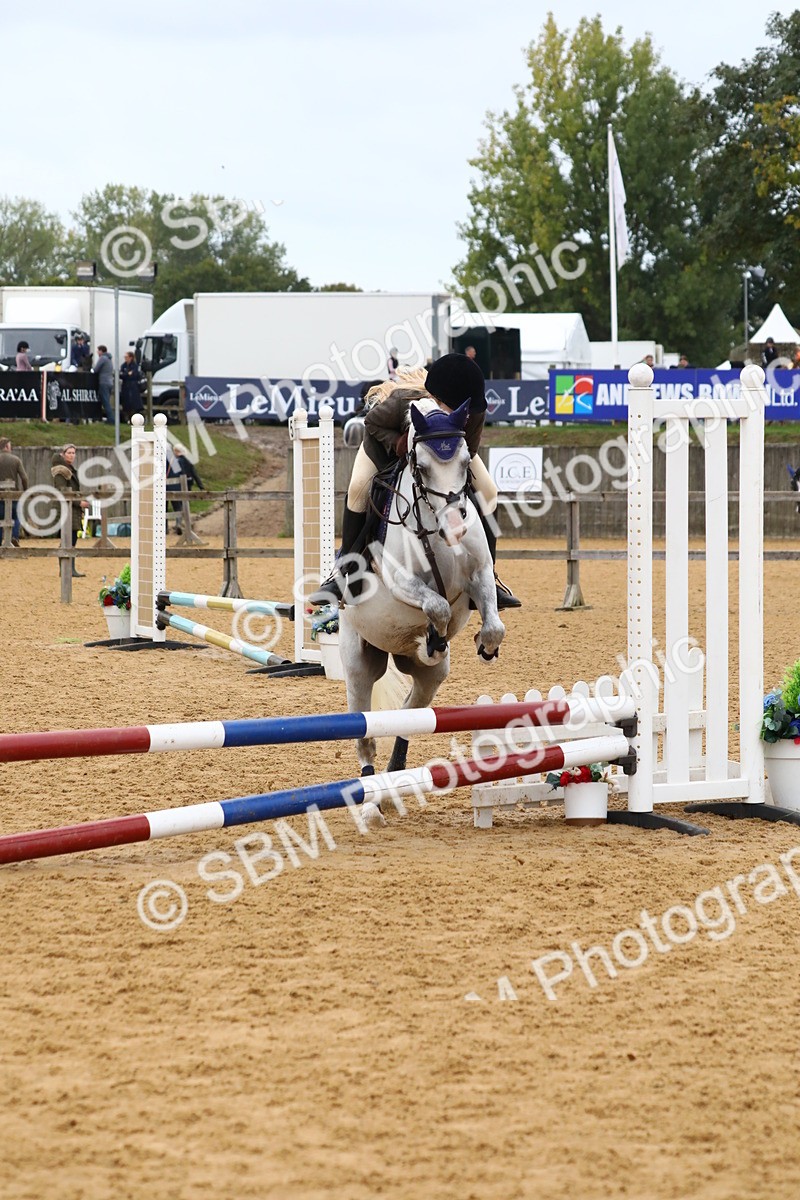 SBM_60070 - J63 - Junior Pony 50cm Championship