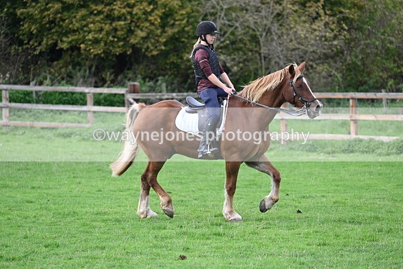 WJ7_9582 - Time 13:13 to 13:55