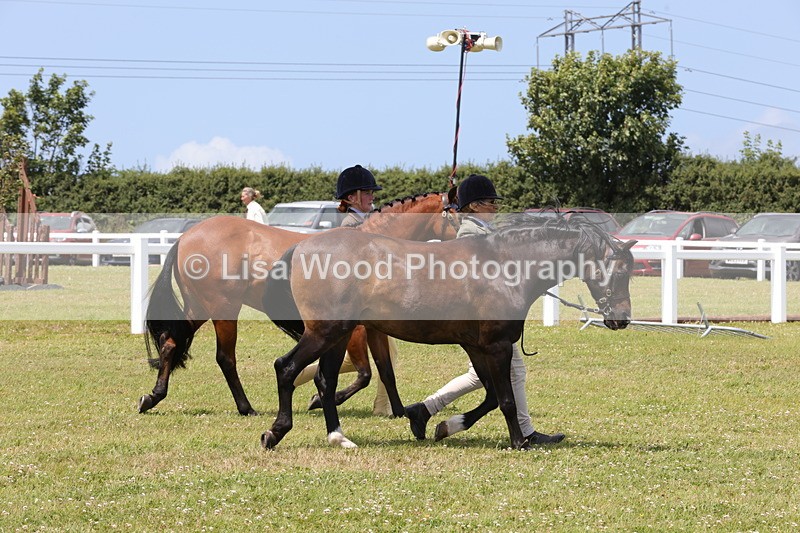 1X9A4876 - Class 35: Veteran In Hand