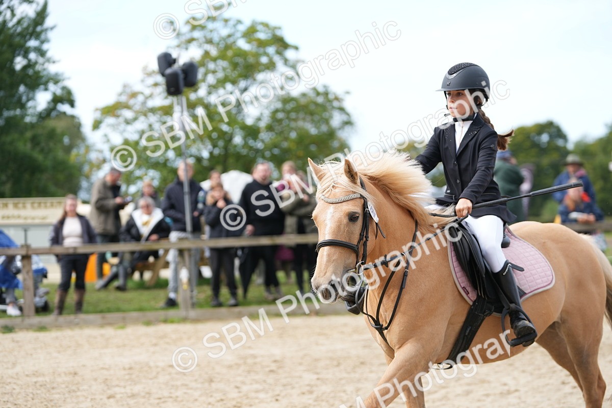 SBM_40046 - J6 - Junior Pony 55cm Championship