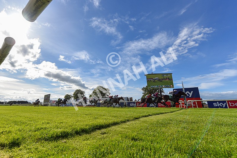 310526-Race 4-Brielle-9430 - Race 4 17.15pm Sky Bet Extra Places Handicap