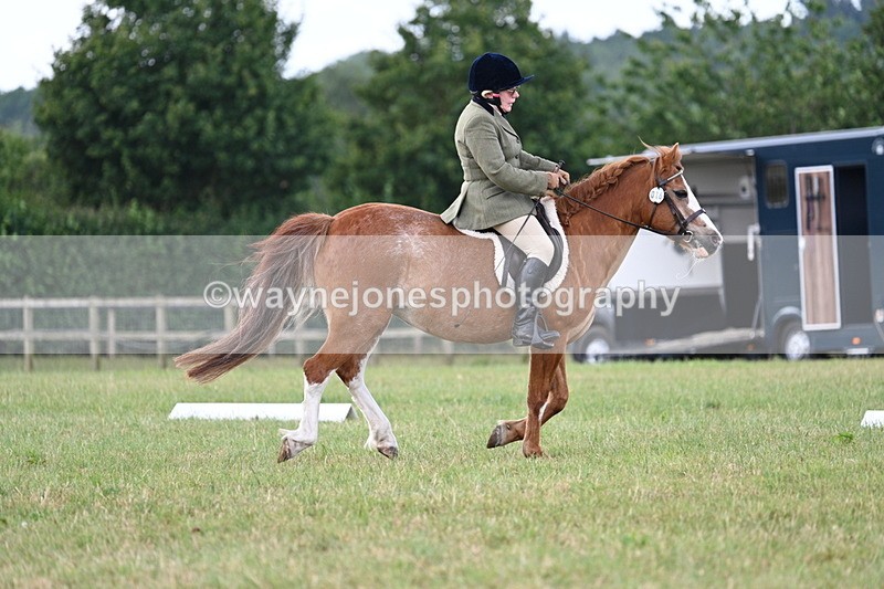 WJ7_3514 - Time 10:28 to 10:42