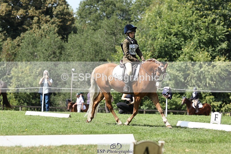 250823A-135415-31390 - Arena D