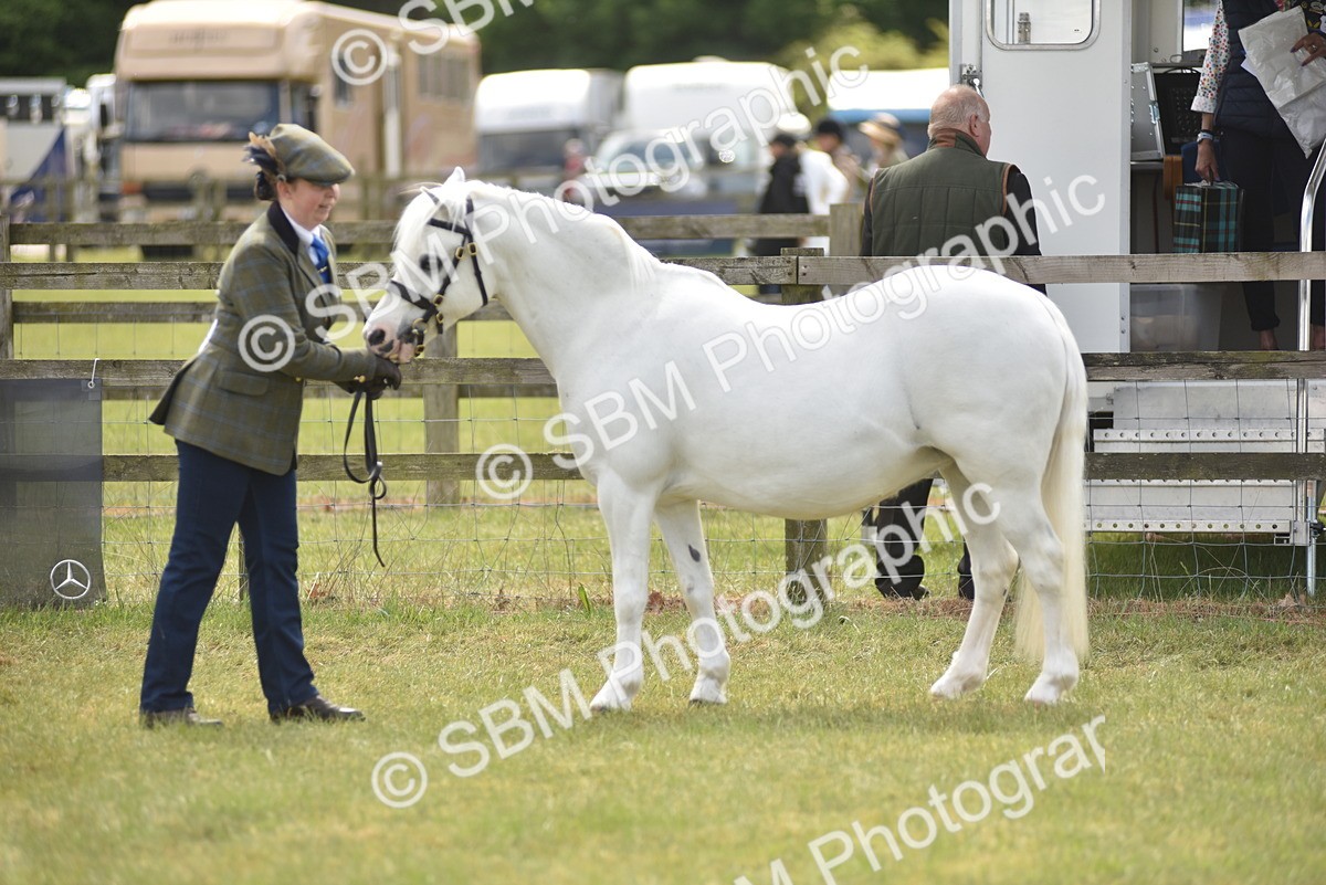 SBM_16047 - Class 117-122 - SSADL RIHS Qualifier