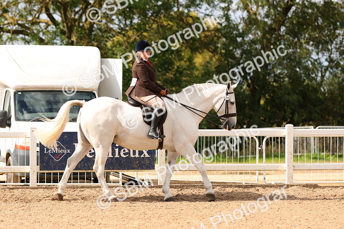 SBM_15451 - Class 214 - Ridden Show Cob