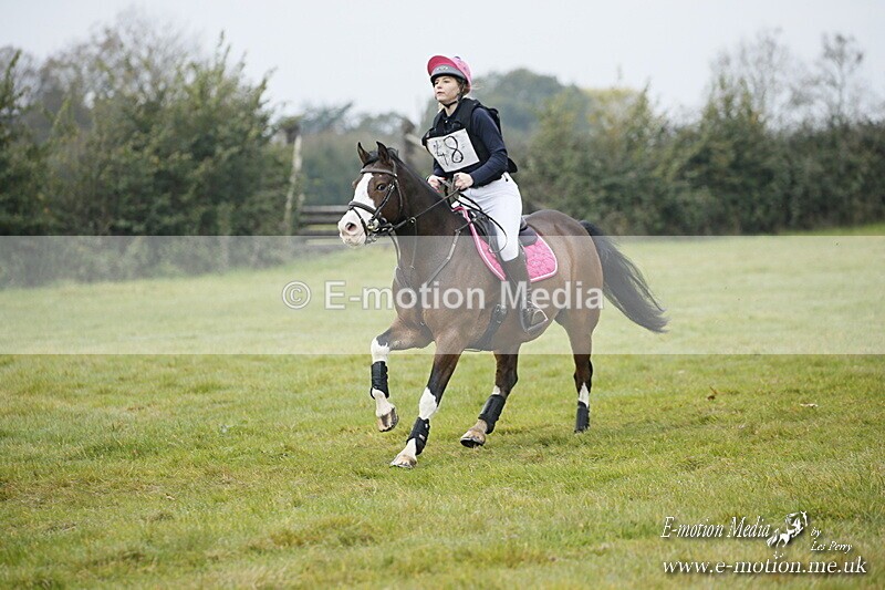 WWHT 181020 WWHT 181020 501 - WWEC Open Novice (0.80m) 18/10/20