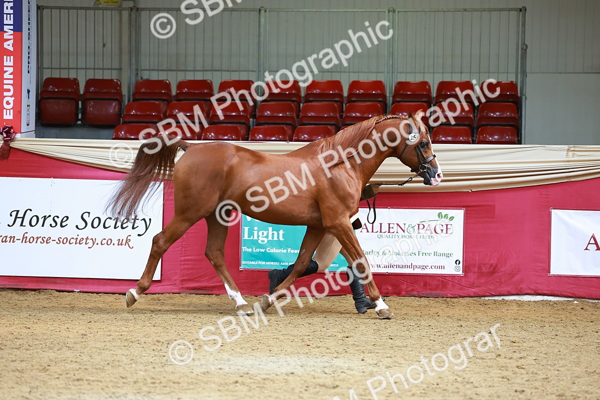 SBM_04427 - Regional IH Championship