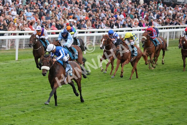 yr22072022r7-28 - Race 7 8.25pm The Sky Bet Go-Racing-In-Yorkshire Summer Festival Stakes