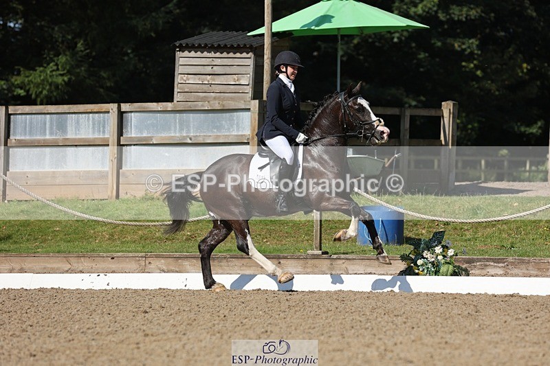 240719-094702-00254 - 262-Leia_Bower-Horeb_Llew