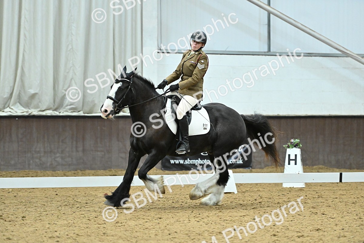 SBM_007467 - Class 81 - Novice 3