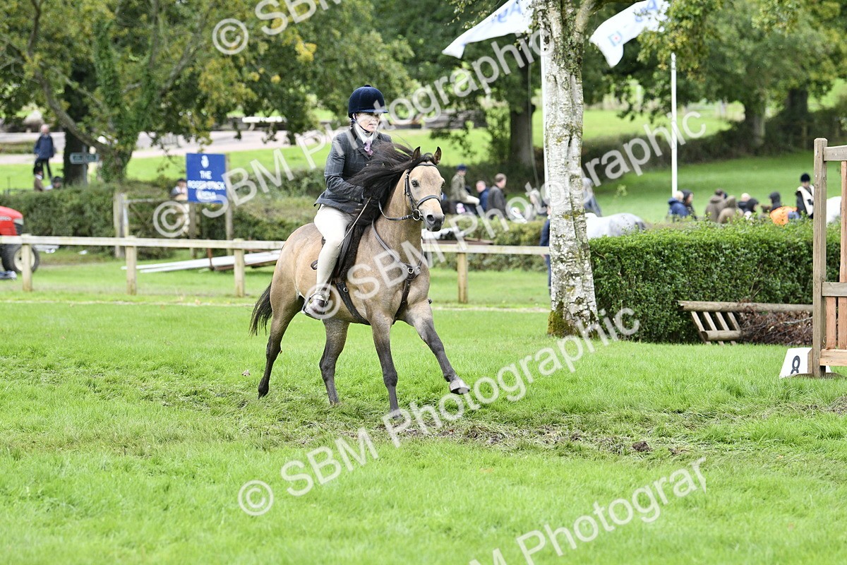 SBM_41348 - S32 - Mountain & Moorland Working Hunter Pony