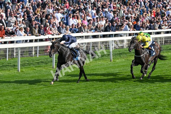 220825-Race 6-Frescobaldi-7750 - Race 6 4.45pm British Stallion Studs EBF Convivial Maiden Stakes