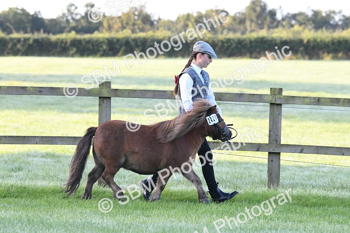 SBM_32549 - S15 - Condition & Turnout In Hand