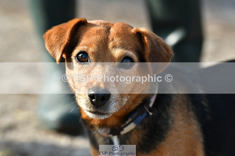 230817-083641-02431 - Stable Shots