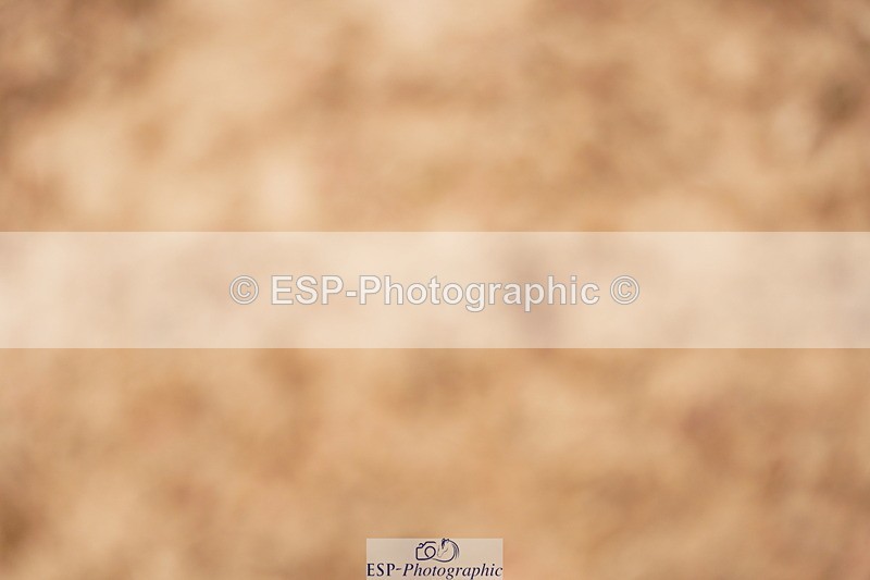 240524A-144312-04303 - Cls 18 National 1.40m