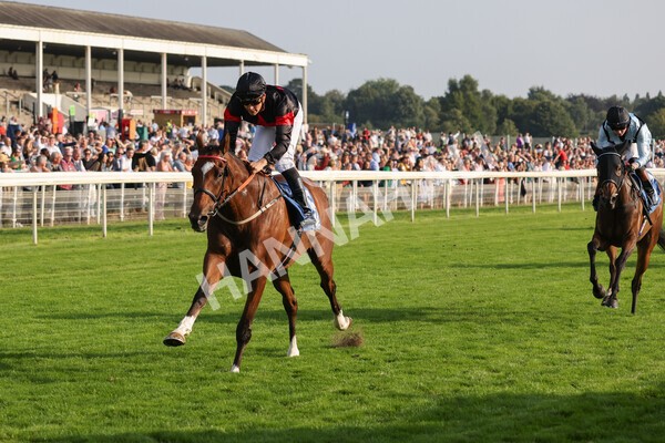 yr05092021r7-23 - Race 7 5.10pm Yorkshire Regiment Stakes