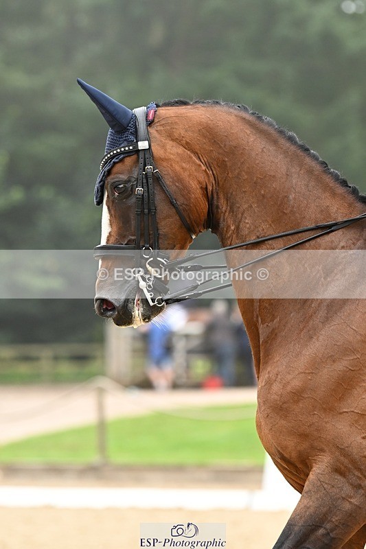 240811-114714-05608 - 305-Emily.Coller-Iondale