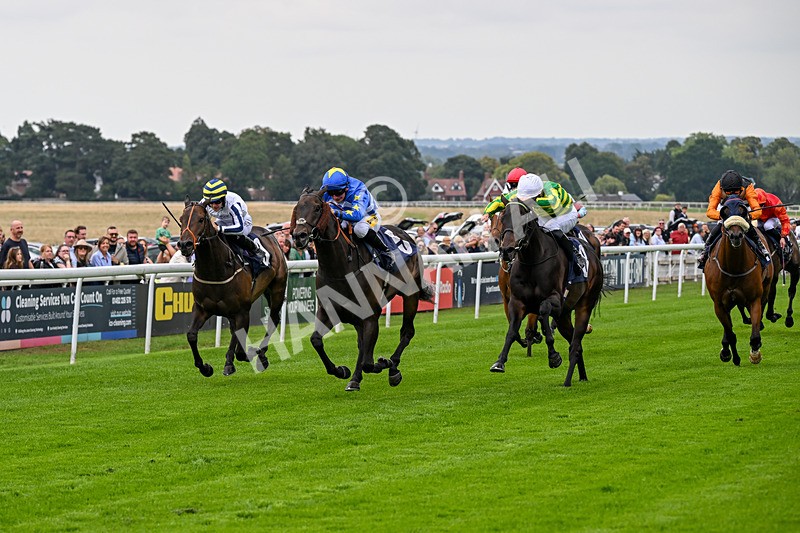 290826-Race 1-Trilby-5249 - Race 1 1.45pm Blink And You Miss It Sprint Handicap