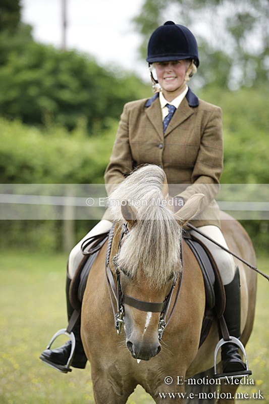 BVR160717-1340 - Ring 1 BVRC Show 16/07/17