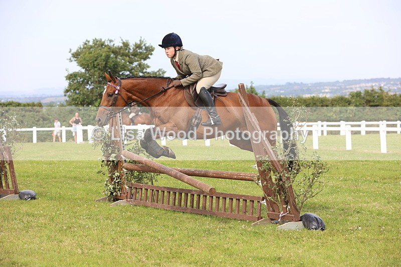 JPP_4197 - Class 25: Working Show Horse