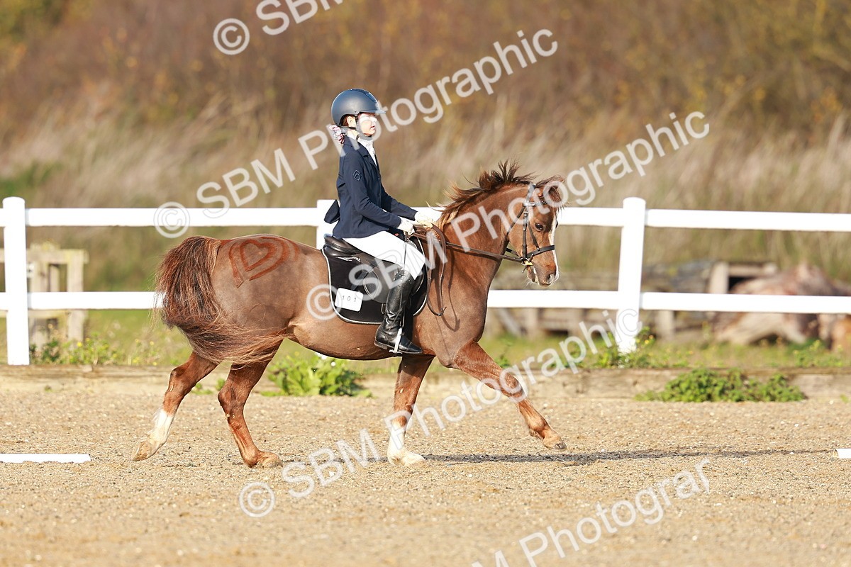 SBM_000365 - Prelim 4