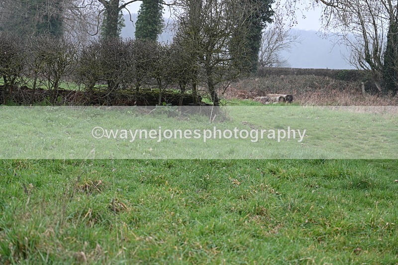 WJ7_0282 - Line 2 cam A