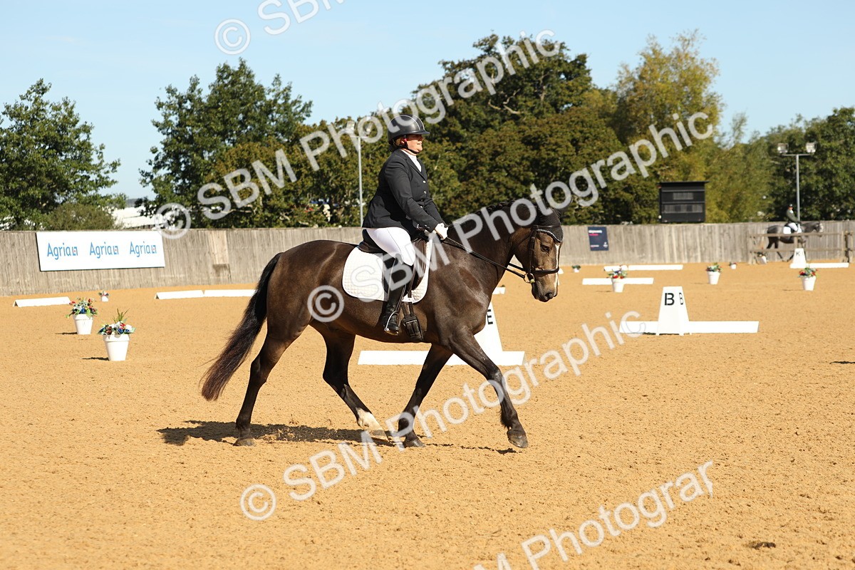 SBM_18630 - D10 - Small Tour Championship - Prelim 2