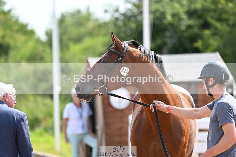 240717A-152931-02842 - Trot Up 3pm to 4pm