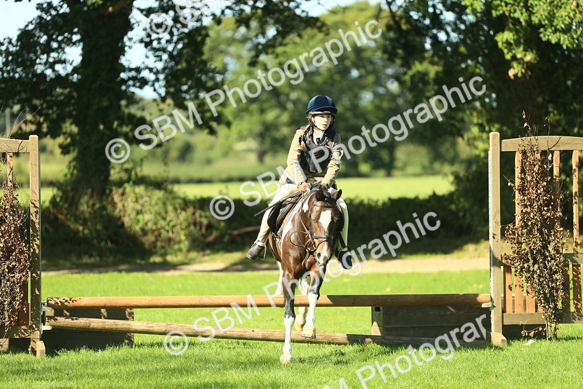 SBM_37532 - S29 - Novice & Newcomers Working Hunter Pony