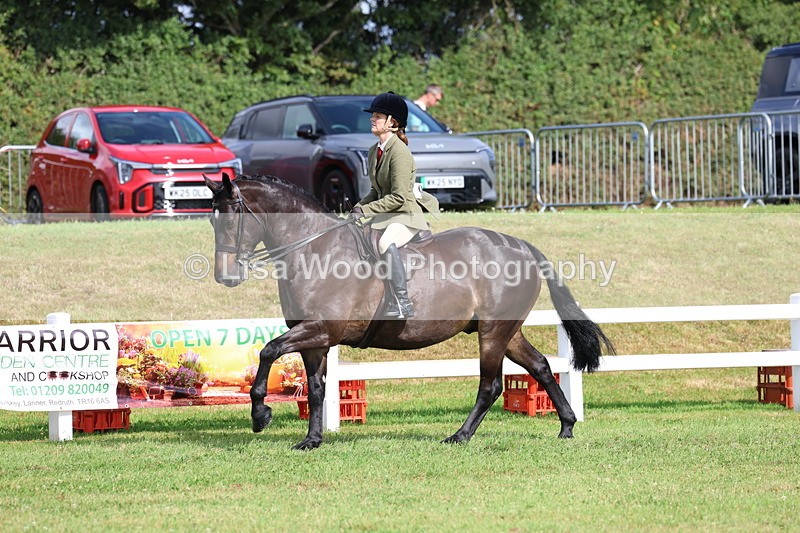 3E7A8890 - Class 3: Rising Star S/L Hunter