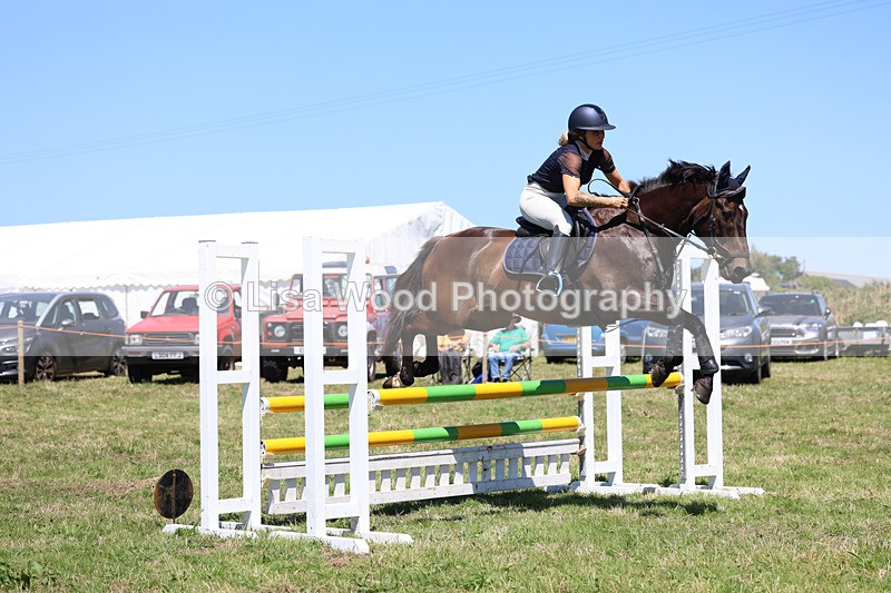 3E7A5676 - Class 9: Senior British Novice/90cm open