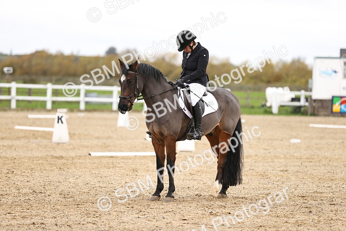 SBM_003501 - Class 11 - Elementary 1