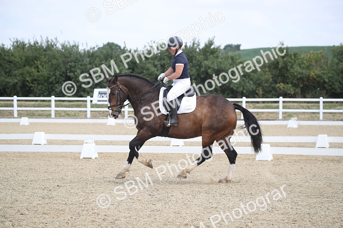 SBM_006659 - Novice 5 - 10.56-13.12